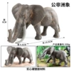 M4007 public African image