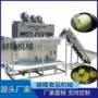 大型多功能商用去皮去皮机