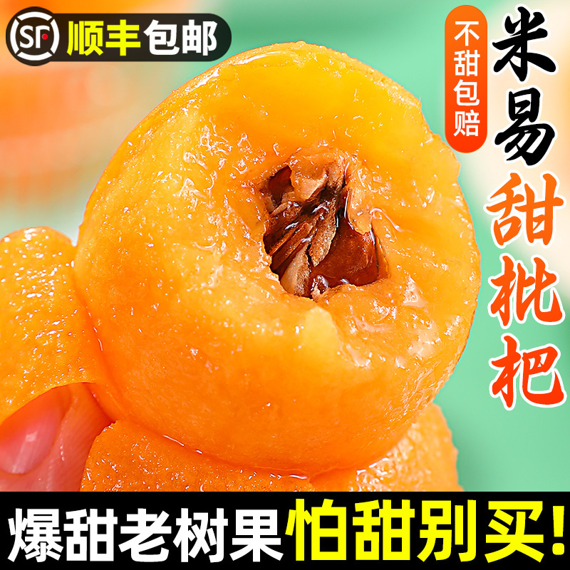 Panzhihua Miyi fresh loquat 5 jin large fruit seasonal freshly picked mountain loquat fresh fruit SF Express included