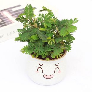 ���߲�С�����҃����ֲ̨���׃��@��ͯ�������߲ݺ���Ȥζ