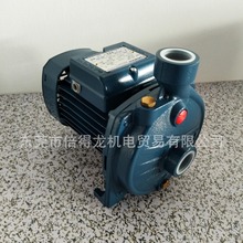 �����PEDROLLO�x�ı�CP100-130-132-150-158-170-170M-190-200