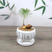 �F�䌚���K�F�ɐ�С�����k���҃���X����Gֲ�������Է�ݗ��