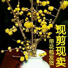 �D÷֦�D÷���������D÷�r����������֦�D÷֦�l��ˮ�_�r�л�ˮ�B