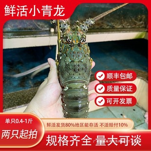 �r������С�������r���rˮ�aȫ��������l���|M�r����S���]