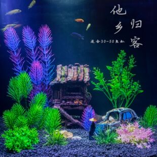 �~���쾰���b����ˮ��30-40-50�����~�ב��˲����[����׳ɾ����S