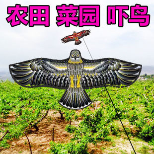 Factory Weifang kite pastoral eagle bird repellent bird scare kite 1.8 m 2 m bright cloth hot printed cartoon kite