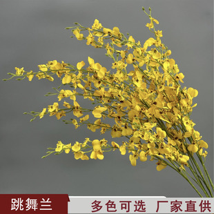 �Sɫ�����������Ļ�Y�ò����b�҃�ܛ�bӭ�����������ŵ�픲廨
