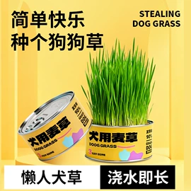 猫猫食具;宠物梳子;猫猫零食