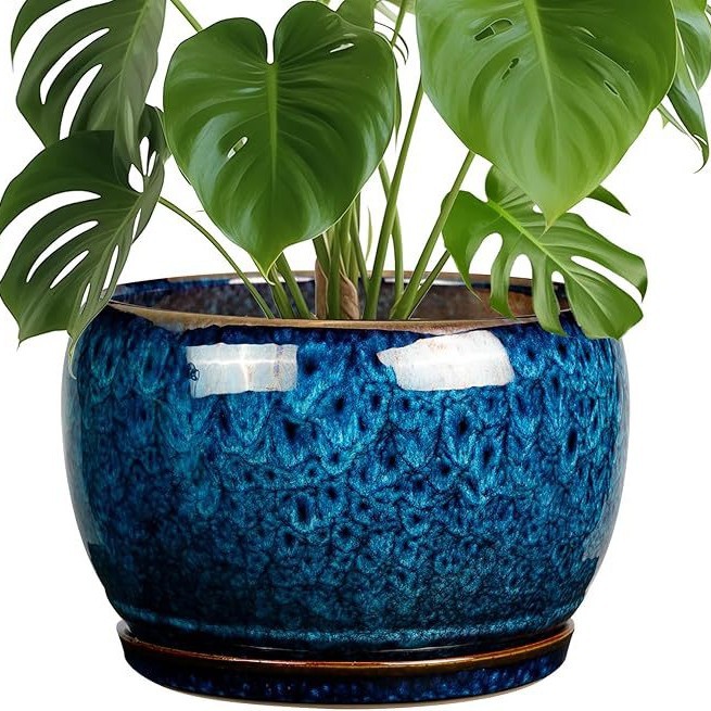 horno azul de cerámica mariposa orquídea verde plantación doméstica gran maceta decoración para el hogar con bandeja Amazon