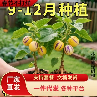 �����˅�������玧��������������N������L�۹��殐���Ϸ�����