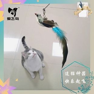 ���w�B䓽z��ë��؈������Q�^����K�����L�U䓽z��؈�U؈؈���