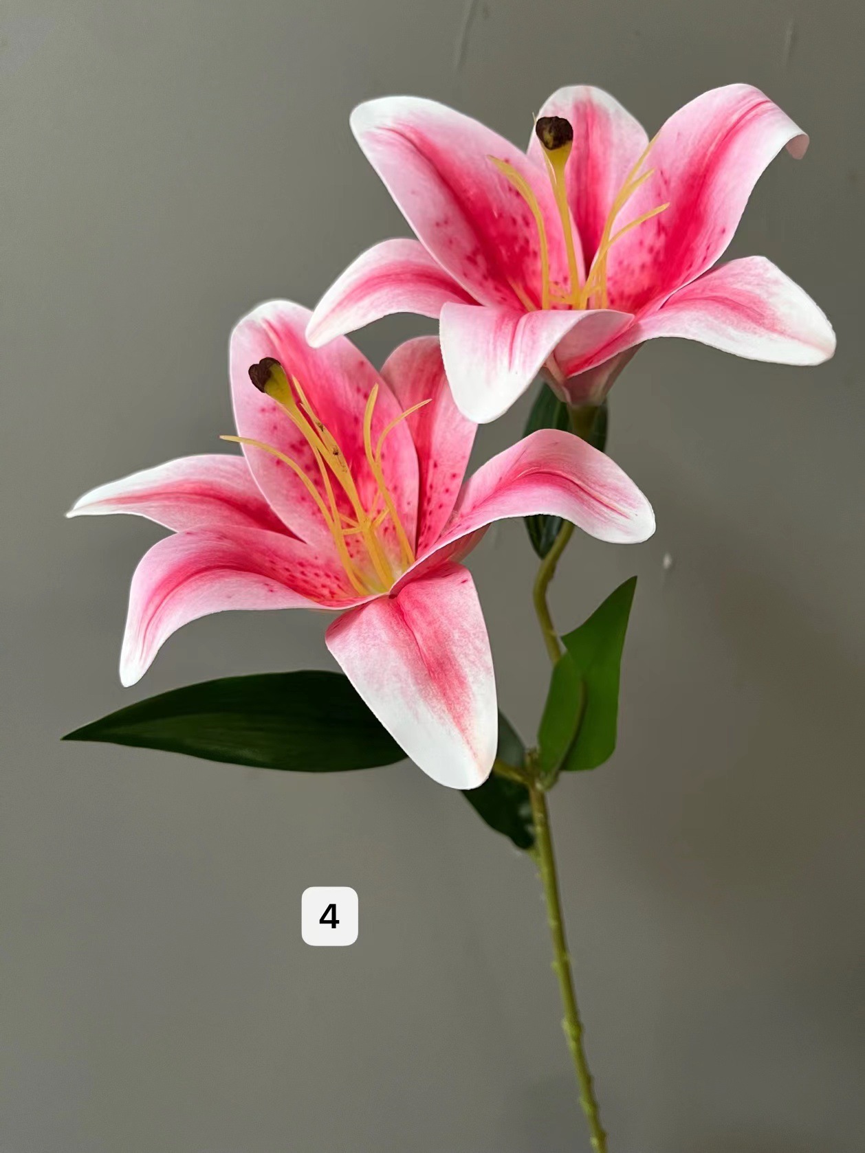 微信图片_20231212092305