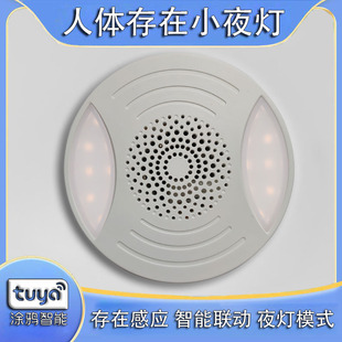 Tuya Smart Human Presence Sensor Tuya Zigbee High-Precision Millimeter Wave Human Sensing Night Light