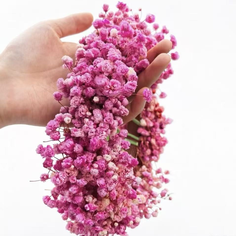 Guirlanda flor seca flor inmortal paquete de material de flor Amazon Hot DIY hecha a mano fabricantes de Yunnan al por mayor