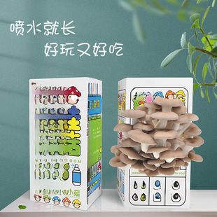 Flavor Mushroom Seedling Edible Bagged Mushroom Planting Seedling Balcony Fun Boxed Children