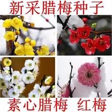 ���|�D÷�N���S���׷N���²��D÷��N�t÷�t��÷���Sɫ����÷�tɫ