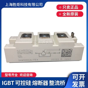 Новый элементный модуль IGBT SKM100GAL17E4 SKM200GAL17E4 SKM400GAL17E4