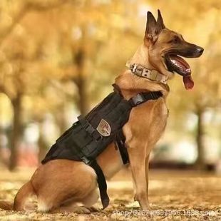 ���l���N�����r�RȮ��Ȯ���w���o�lȮ����Ȯ����Ȯ���ﹷС���B��