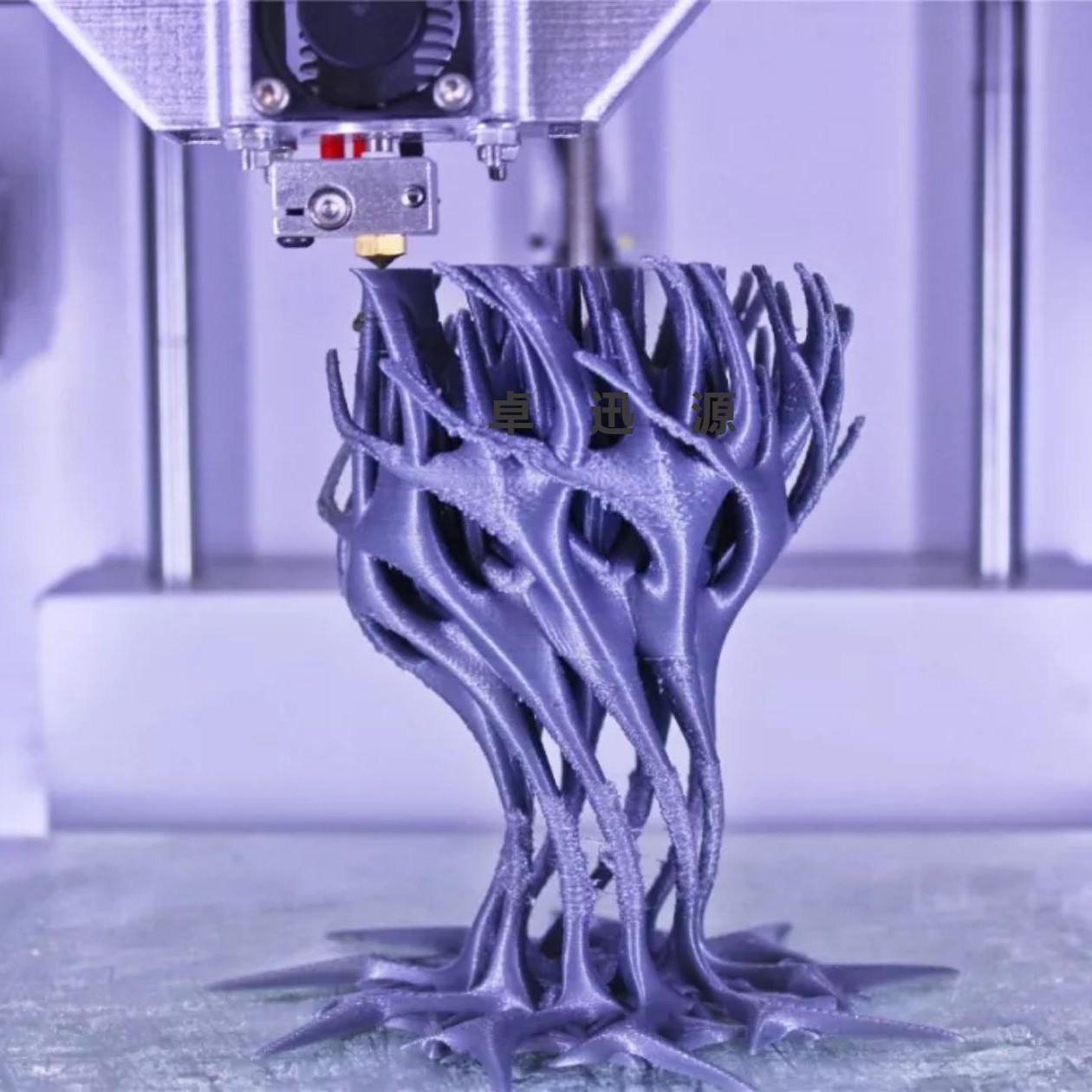 2025-04-08 11:32:19.jpg