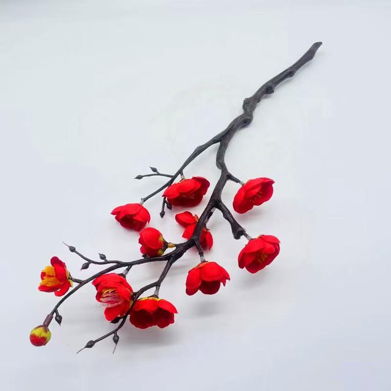 샤오시우 플럼 레드