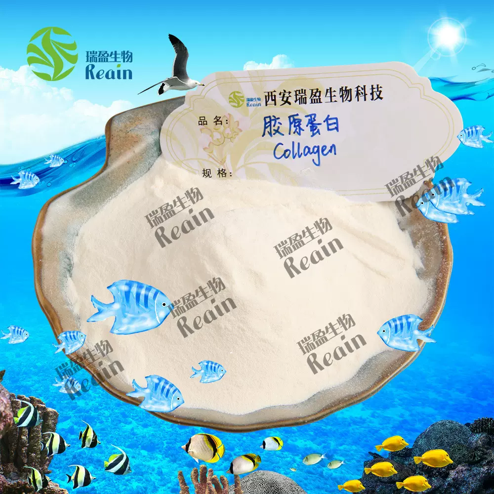 鱼胶原蛋白肽 90% 海洋鱼低聚肽 胶原蛋白粉 小分子肽 现货批发