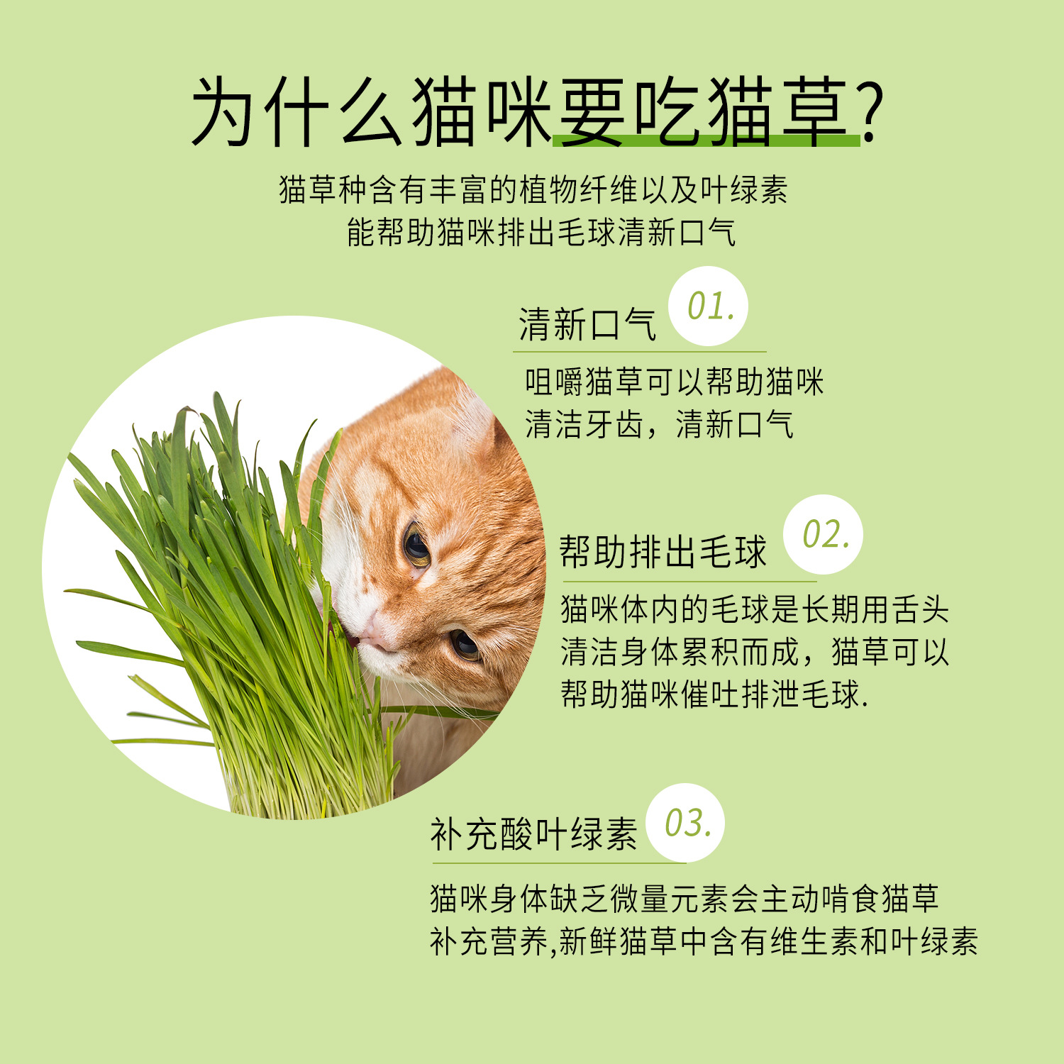 Bocadillos para gatos transfronterizos, semillas en macetas de pasto para gatos, cajas hidropónicas, bolas de pelo, vivero de pasto para gatos sin tierra, suministros para mascotas al por mayor