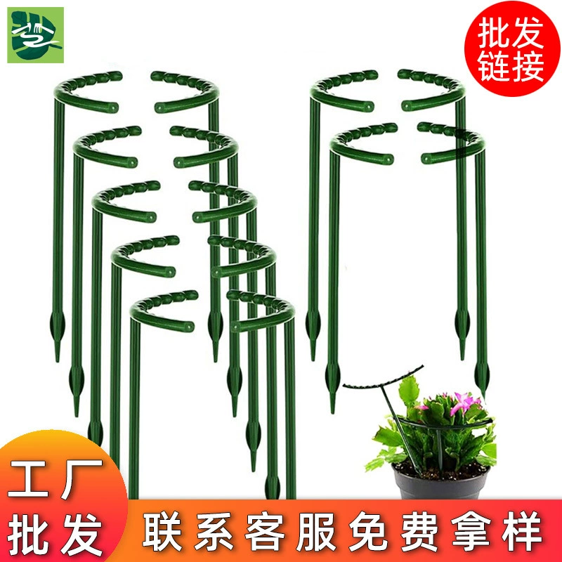 Краб с когтями кронштейн мясистый подсолнух