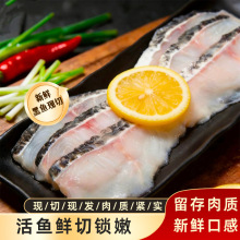 新鲜黑鱼现切黑鱼片半成品活鱼鲜切酸菜鱼饭店食堂食材黑鱼片250g