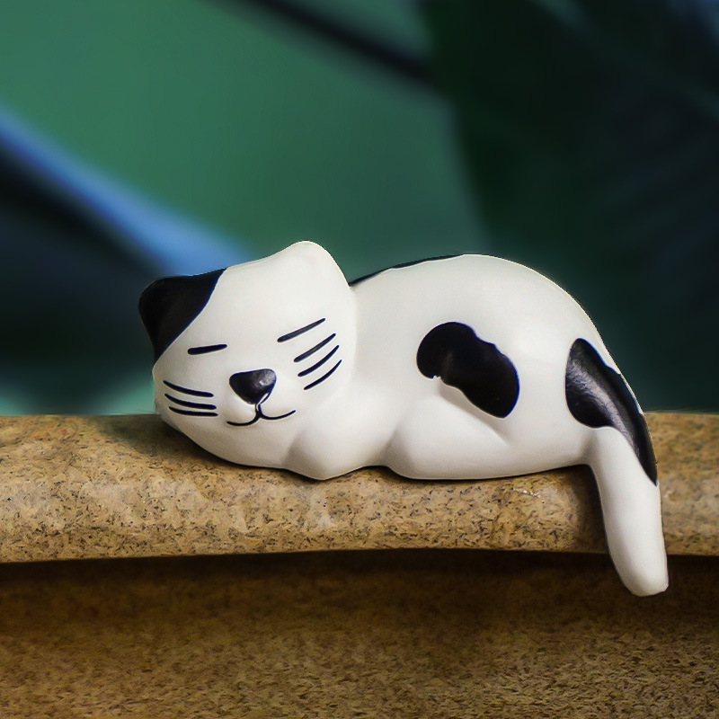 Kitten durmiendo decoración pecera paisaje maullido jugando agua buen tiempo ocio meow ronquido captura de peces gato colgando decoraciones