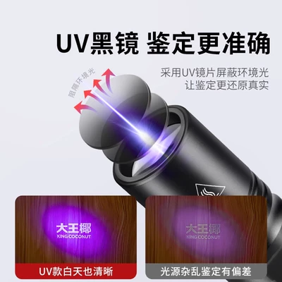 UV fənərlər Light Flashlight for Fluorescent
