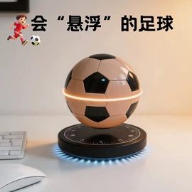 塑料工艺品;展示架;其他装饰摆件