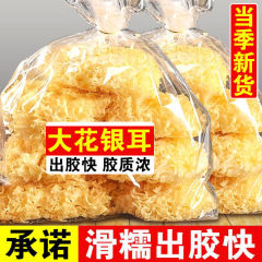 古田特産品新品大花銀耳乾品白木耳百合蓮子湯銀耳羹モチモチ耳多糊モチ耳