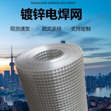 热镀锌电焊网内外墙抹灰防裂保温网假山网建筑工地焊接钢丝网片