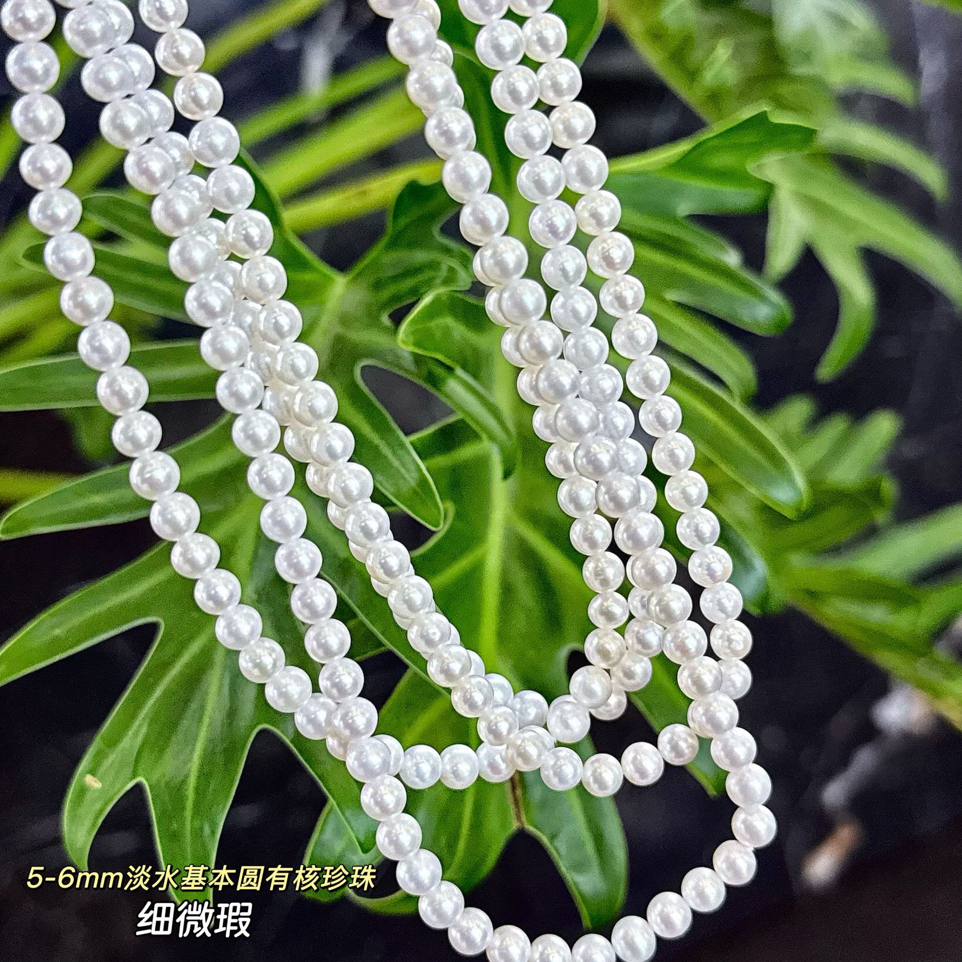 ����ͬ��5-6mmak����Բ��Ȼ��ˮ���鳤���������ٴ�ins��ë����