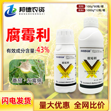 ��Ӎ�ٿˑ� 43%��ù�������߲˷��ѻ�ù�������rșֲ������`