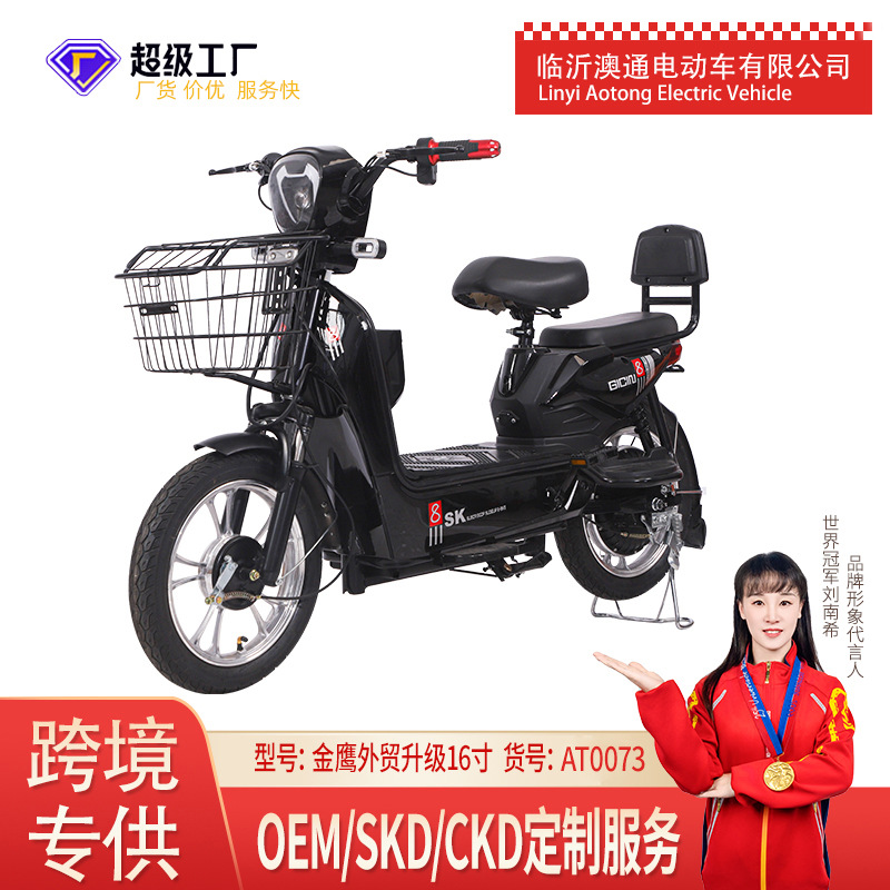 Mayorista de dos ruedas adultos larga duración transfronterizos adultos viajeros doble bicicleta eléctrica bicicletas coche de batería