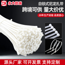 ���iʽ��������100�l�������԰��bnylon cable ties늾���������