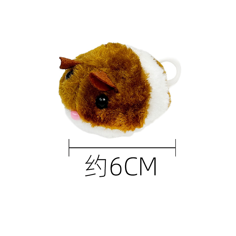 작은 뚱뚱한 갈색 쥐