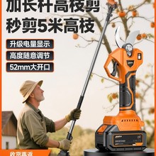 늄Ӽ����@�ֹ�����֦��������s�U��֦���ֳ�ʽ���ʽ��֦�F��