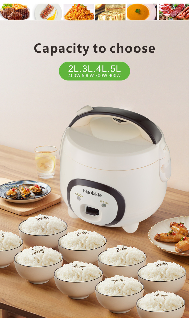 Mini Electric Rice Cooker For Household Kitchen And Cooking_voghion.com
