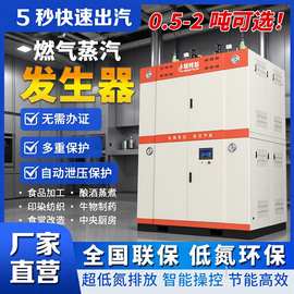 燃气蒸汽发生器工业天然气液化气2吨智能节能燃气锅炉食品加工