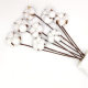 Cotton Dried Flower bouquet wholesale eternal flower decoration shooting props simulation flowers DIY Christmas color cotton dried flowers