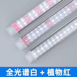 ♔ T8 Full Spectrum Plant Light Led Indoor Vegetable Seedling Plant Growth Light Greenhouse Succulent Supplementary Light