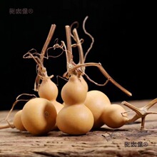 �ֶ�С�������^��Ȼ�غ��J�����������J������ؔ�����С����̫��