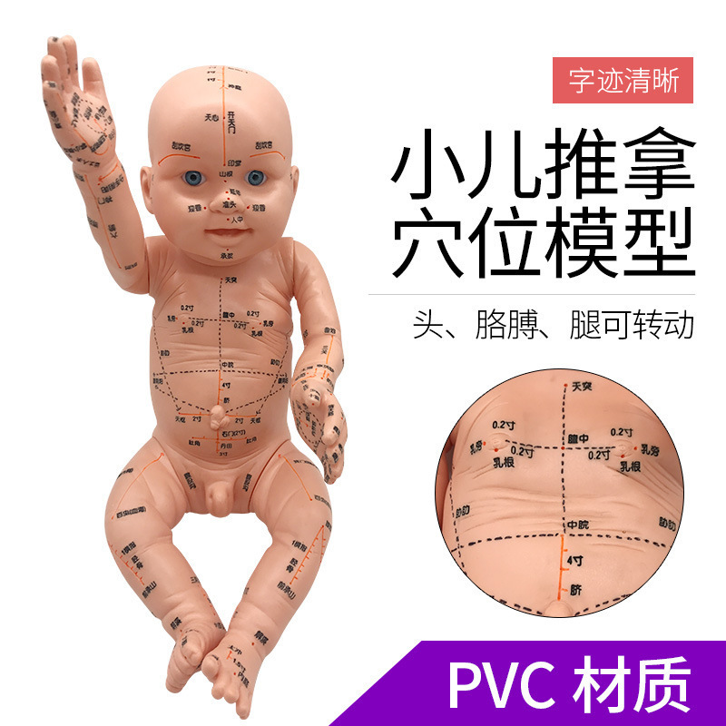 婴儿推拿模型 娃娃 按摩带穴位模型 家政月嫂培训 小孩教学用模型