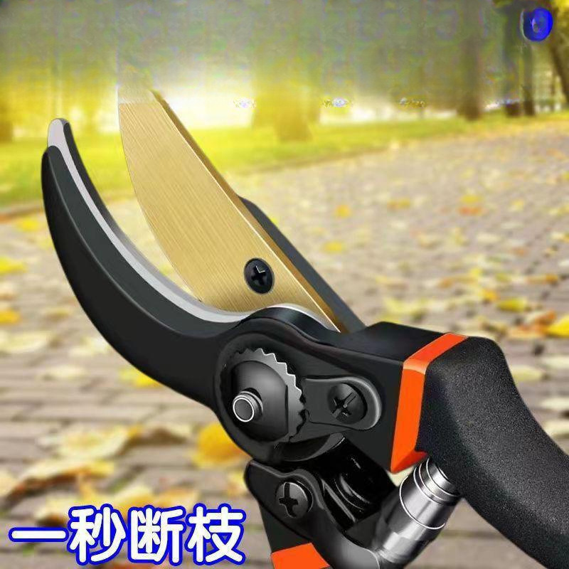 德国进口园林剪果树枝条剪家用强力粗枝剪省力滑轮修枝剪树枝神器