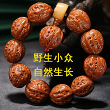 文玩把玩正圆18颗多刺密八棱山核桃手持串扎手压手老籽大粗筋原籽
