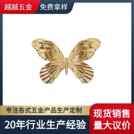 钮扣;皮带扣;胸针