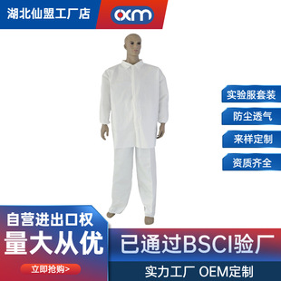 Disposable Protective Clothing Set Workwear Dustproof Turn-Down Collar Non-Woven Fabric Clothing Pp Lab Coat for Experimental Use