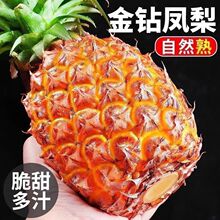 ���Ͻ���P�� ̨�r17̖ ���䮔��ˮ����˺������r���}�����P��